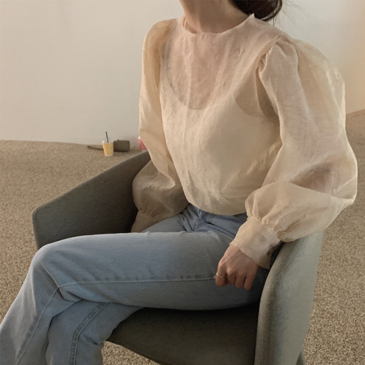 ぽわん袖 しわ加工 長袖 シアーブラウス