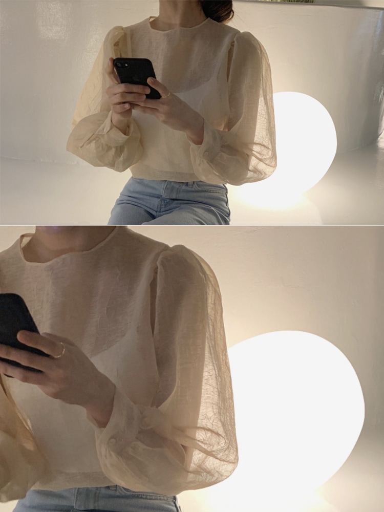 ぽわん袖 しわ加工 長袖 シアーブラウス