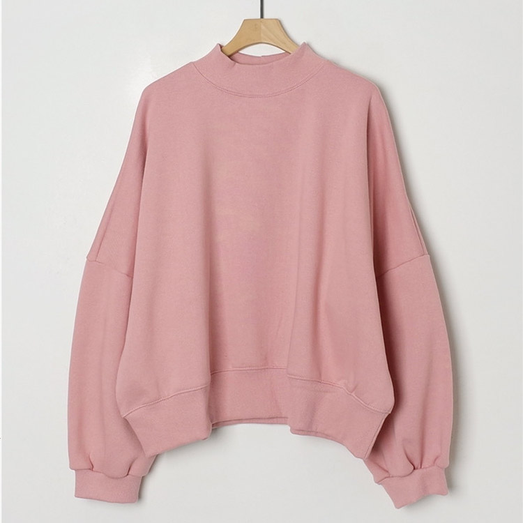 裏起毛 ハーフハイネック スウェット トレーナー