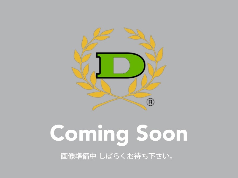 FXタイプフロントフェンダー同色塗装