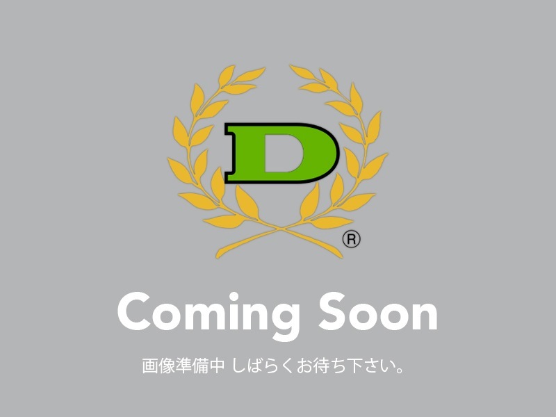 ゼファー1100 ライディングステップ(メタリックシルバー)