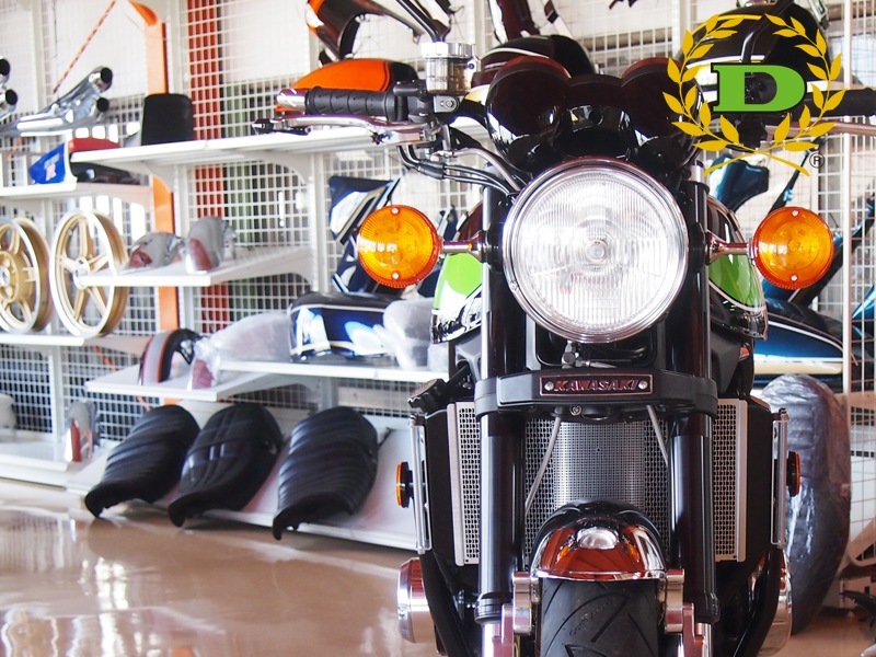 Z900RS コアガード(シルバー)2017年~2020年モデル対応