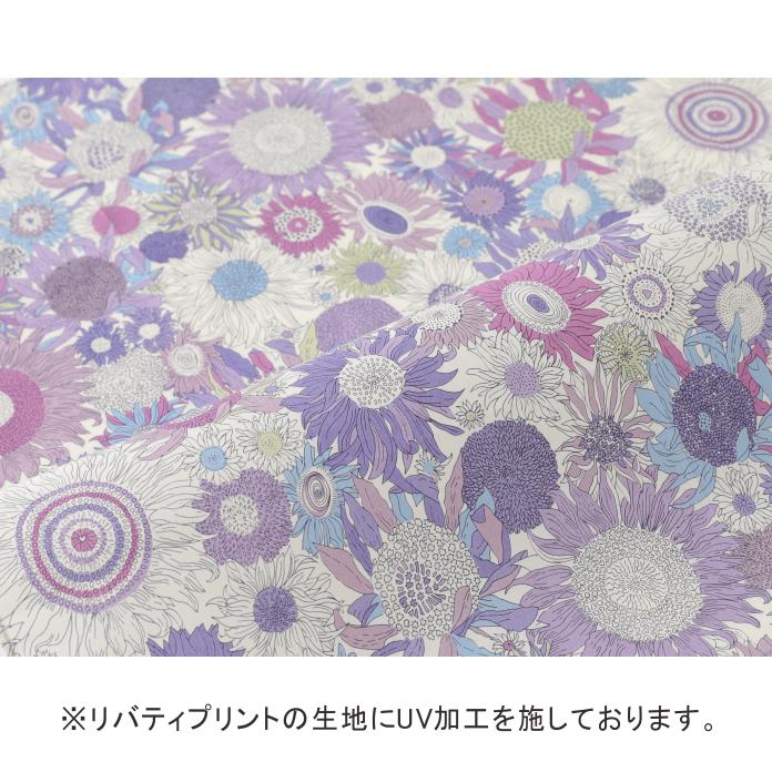 ��Хƥ��ץ���/UV����������Ƚ������