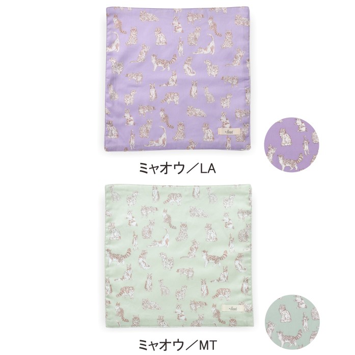 Хƥץ/ʥ󥹥ƥåϥɥ