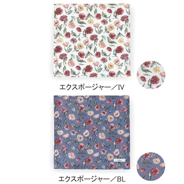 Хƥץ/ʥ󥹥ƥåϥɥ