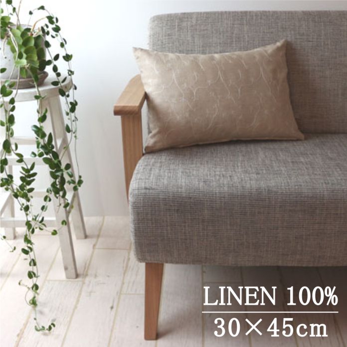 �ɽ���ͥ�/���å���󥫥С�/�����ߣ������