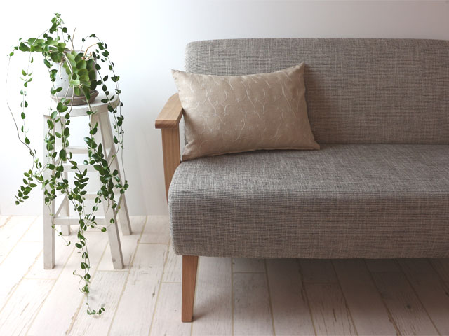 �ɽ���ͥ�/���å���󥫥С�/�����ߣ������