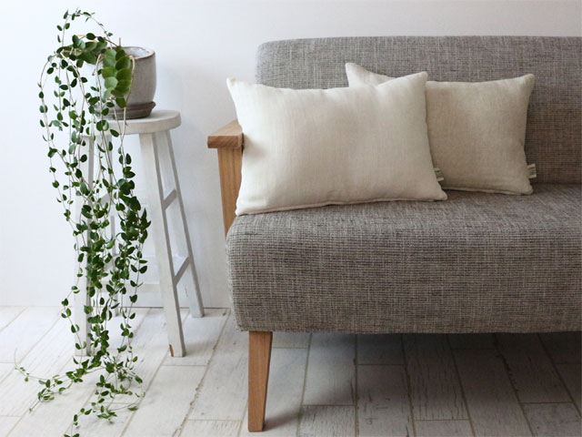 ��ͥ�ץ�����/���å���󥫥С�/�����ߣ������