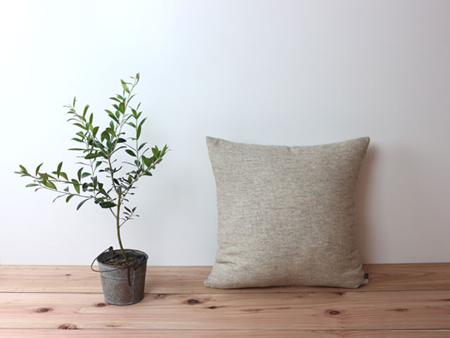 ��ͥ󥦡���/���å���󥫥С�/�����ߣ������/�ףɣΣԣţҥʥȥ�����