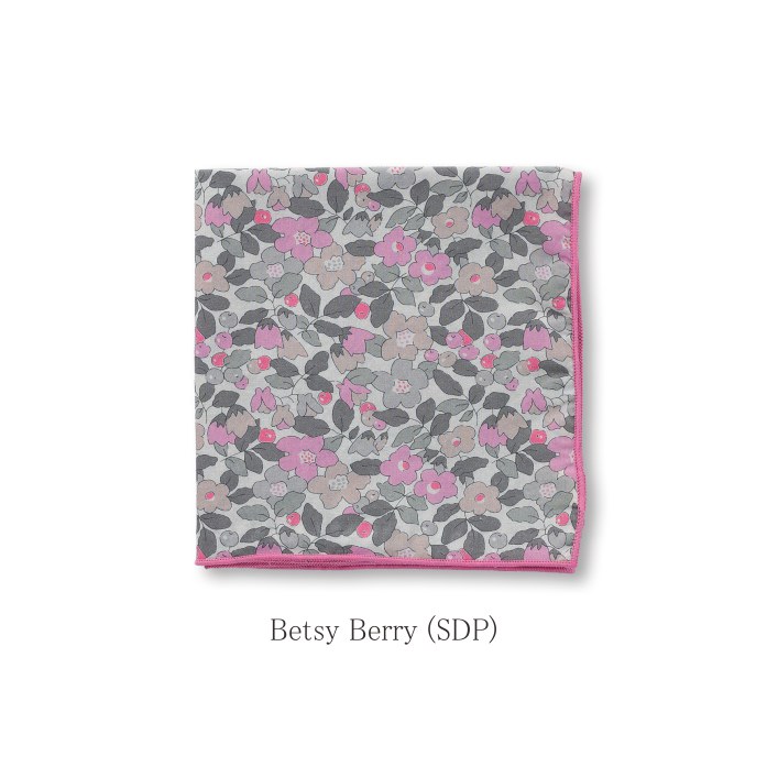 ϥ   ۡǥ / ХƥץȤΥ