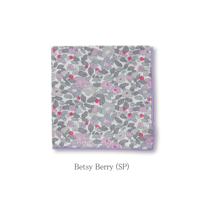 ϥ   ۡǥ / ХƥץȤΥ