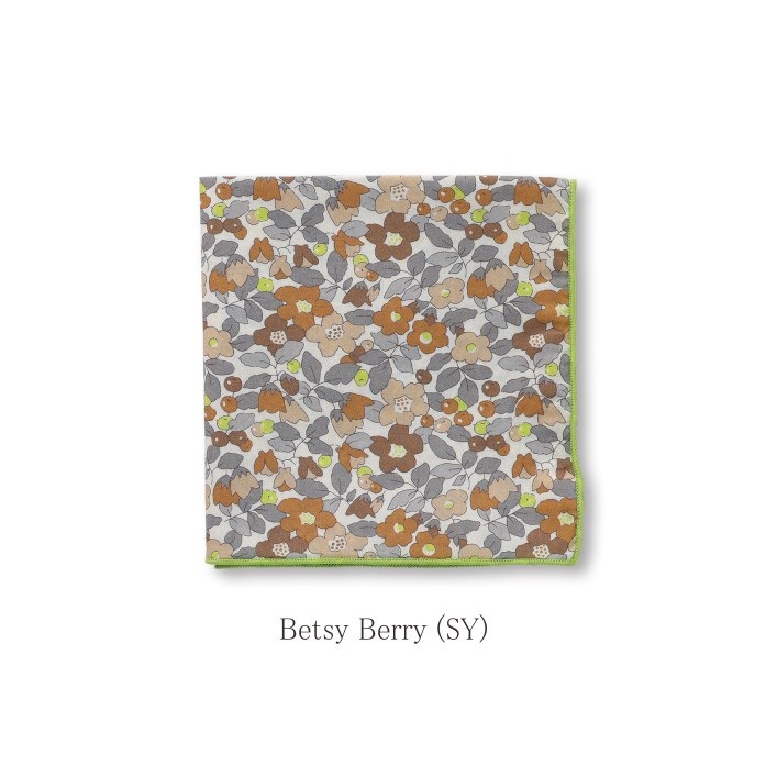 ϥ   ۡǥ / ХƥץȤΥ