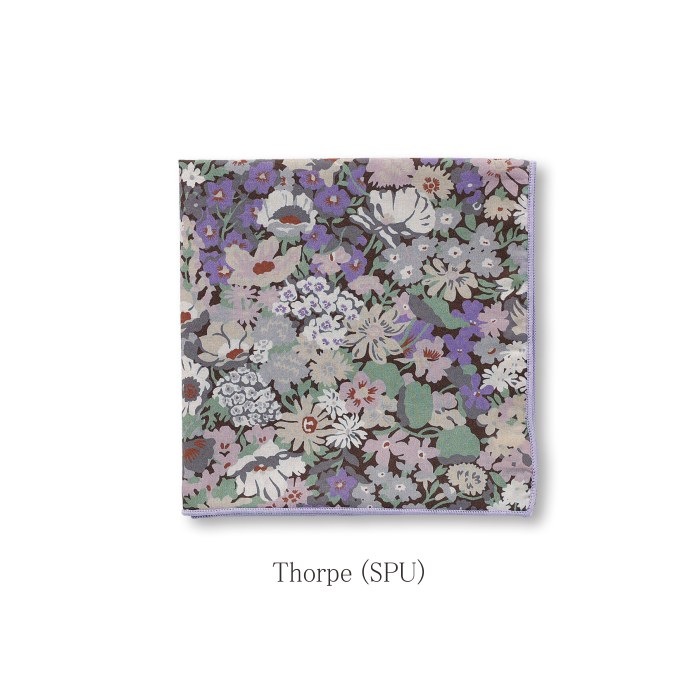 ϥ   ۡǥ / ХƥץȤΥ