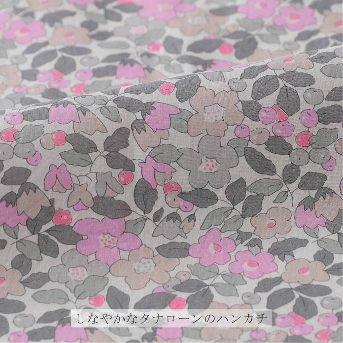 ϥ   ۡǥ / ХƥץȤΥ