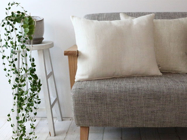 ��ͥ�ץ�����/���å���󥫥С�/�����ߣ������