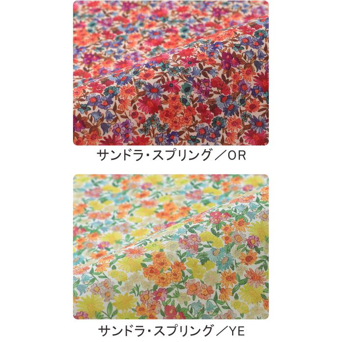 リバティまとめ クロス02 リバティプリント 45×45cm/DDintex