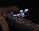 F**K & PEACE Skull Ring -Silver