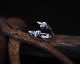 F**K & PEACE Hands Ring -Silver