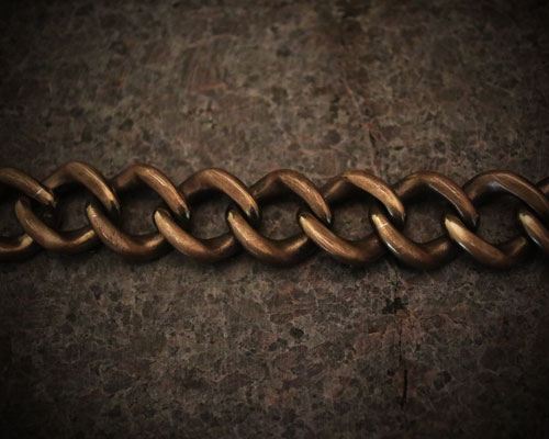 "ROOTS"PLANTS LINKS Bracelet  -BRASS