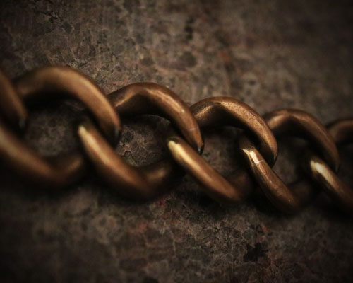 "ROOTS"PLANTS LINKS Bracelet  -BRASS