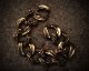"ROOTS"PLANTS LINKS Bracelet  -BRASS