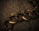 "ROOTS"PLANTS LINKS Bracelet  -BRASS