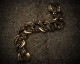 "ROOTS"PLANTS LINKS Bracelet  -BRASS