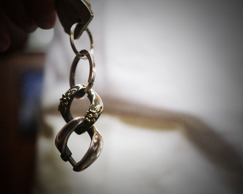 "ROOTS"PLANTS LINKS KeyHolder -COMBI