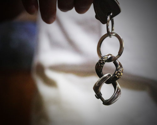 "ROOTS"PLANTS LINKS KeyHolder -COMBI