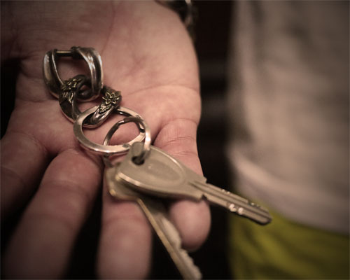"ROOTS"PLANTS LINKS KeyHolder -COMBI