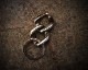"ROOTS"PLANTS LINKS KeyHolder -COMBI