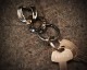 "ROOTS"PLANTS LINKS KeyHolder -COMBI