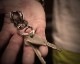 "ROOTS"PLANTS LINKS KeyHolder -COMBI