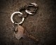 "ROOTS"PLANTS LINKS KeyHolder -COMBI