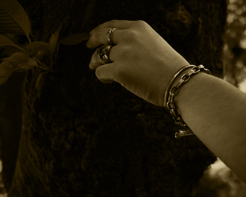 All Nature Ring "Eagle" -SILVER