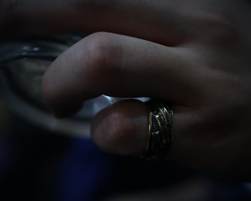 All Nature Ring "Swallow" -BRASS