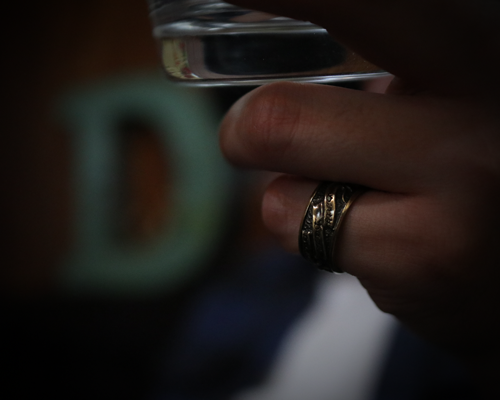 All Nature Ring "Swallow" -BRASS