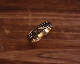 All Nature Ring "Leaf" -BRASS