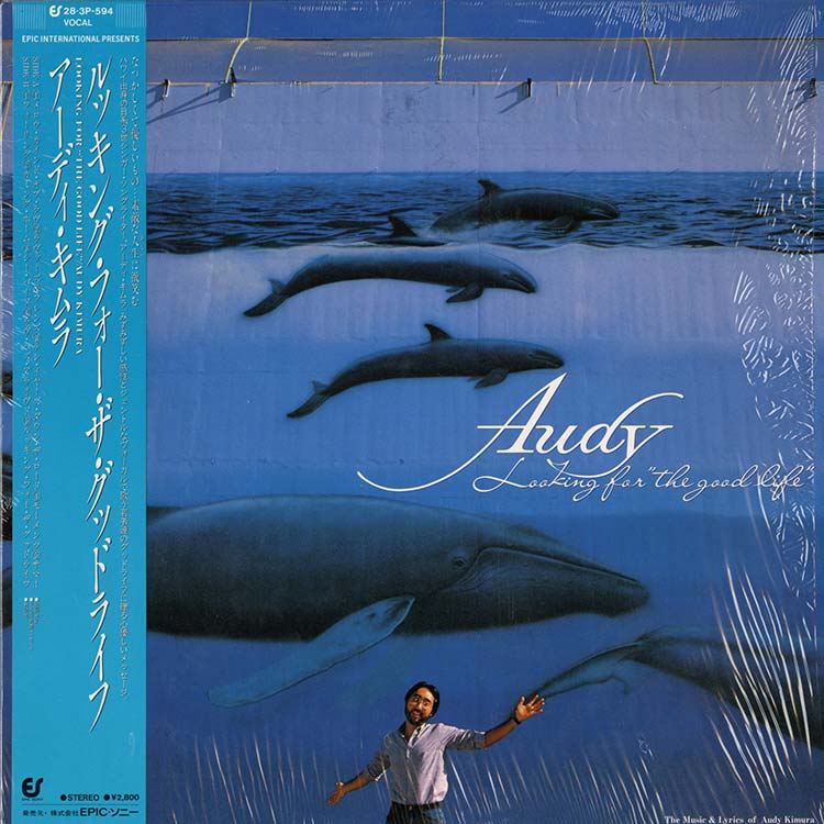 ハワイ産AOR AUDY KIMURA lp Audy Kimura (アーディ・キムラ) - Looking For 