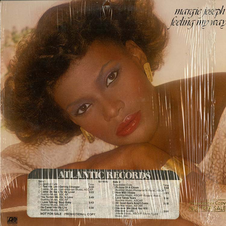 送料無料　激レアR&BLP10枚まとめ売り#DISCO#FUNK#BOOGIE 送料無料 激レアR&BLP10枚まとめ売り#DISCO#FUNK#BOOGIE - メルカリ