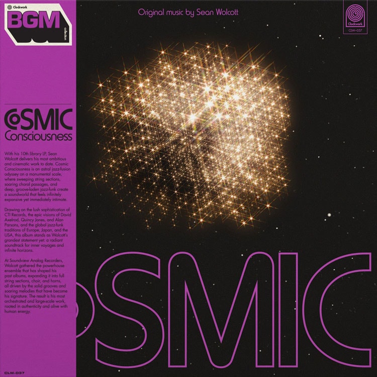 NEWBAN LP 2枚セット FUNK RARE GROOVE NEWBAN LP 2枚セット