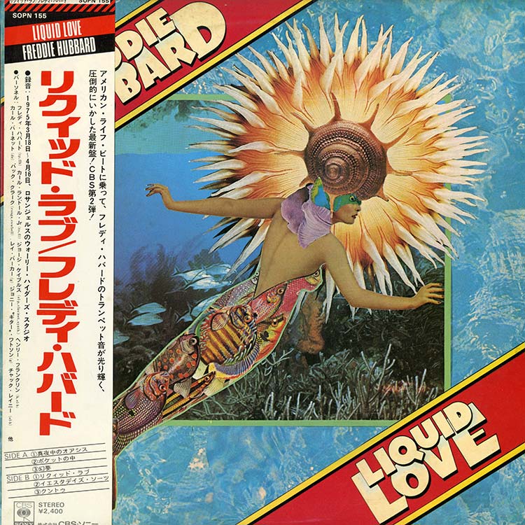 Funk - Rare Groove - デシネ・ショップ・オンライン - dessinee shop