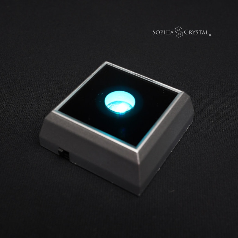 LEDライトスタンド 【DL-06】