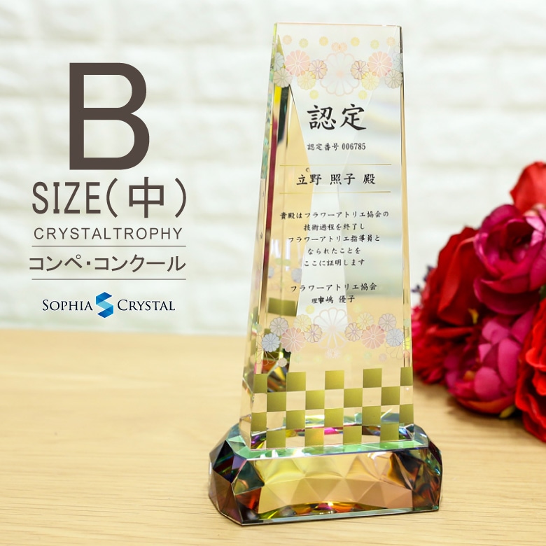 クリスタルトロフィー ホログラム付 【CR-12B】
