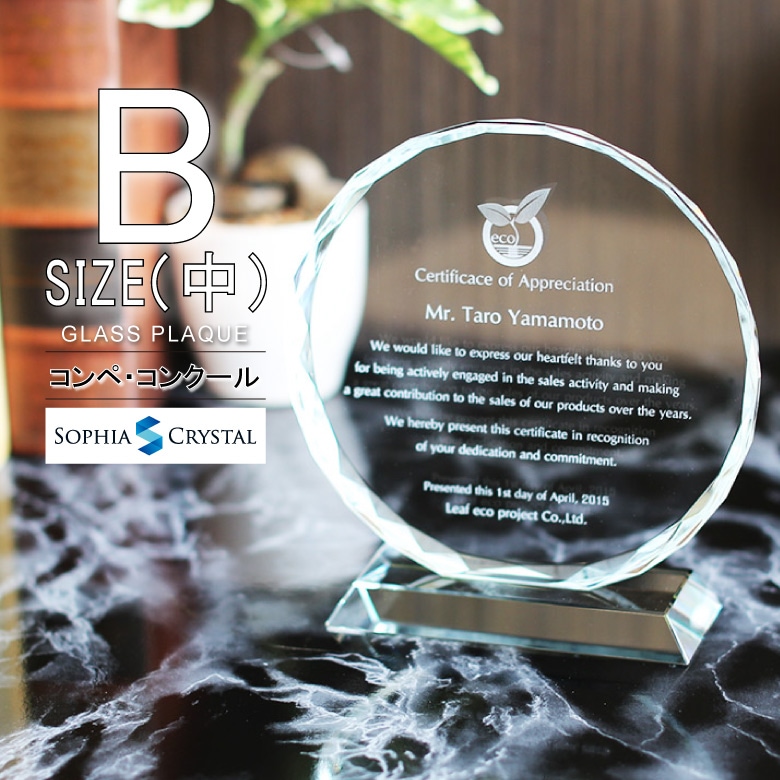 ホワイトガラス盾 【PS-6B】