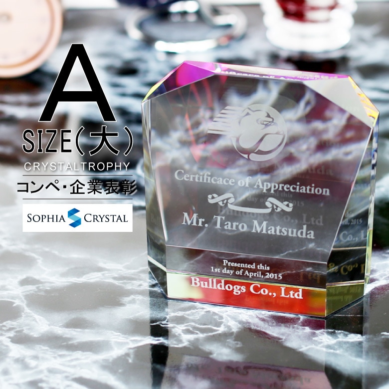 クリスタルトロフィー ホログラム付 【CR-14A】