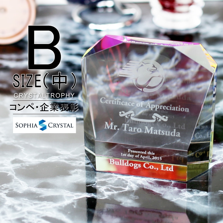 クリスタルトロフィー ホログラム付 【CR-14B】