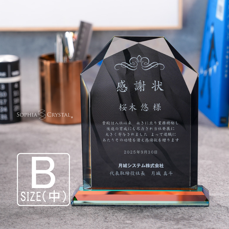 ブラックビューティー 盾 【DPB-5B】