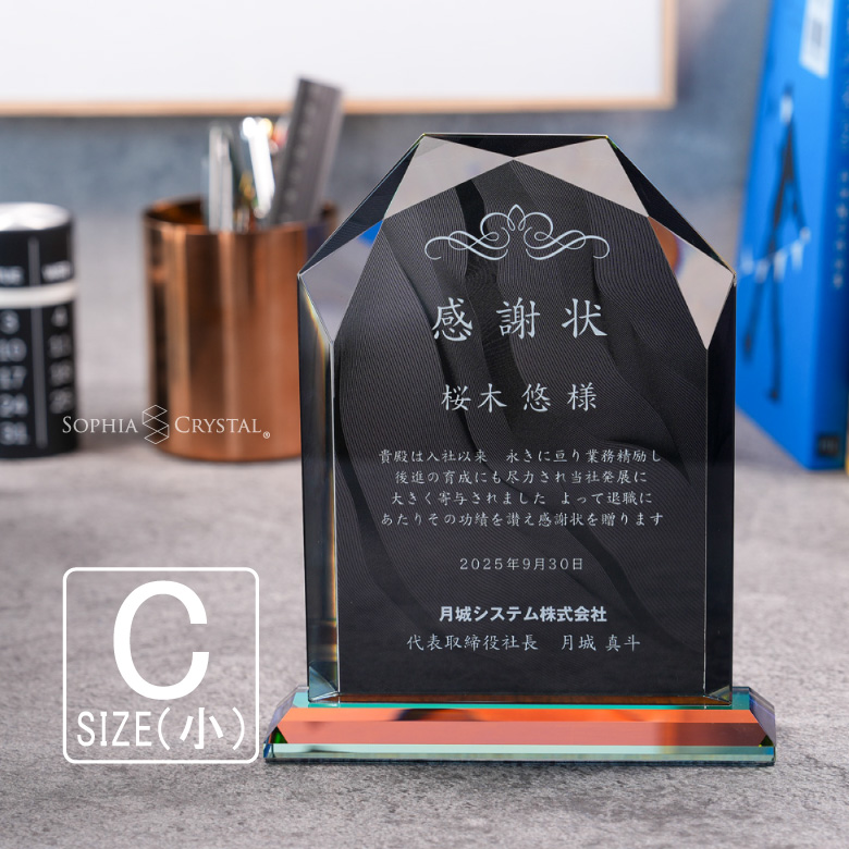 ブラックビューティー 盾 【DPB-5C】