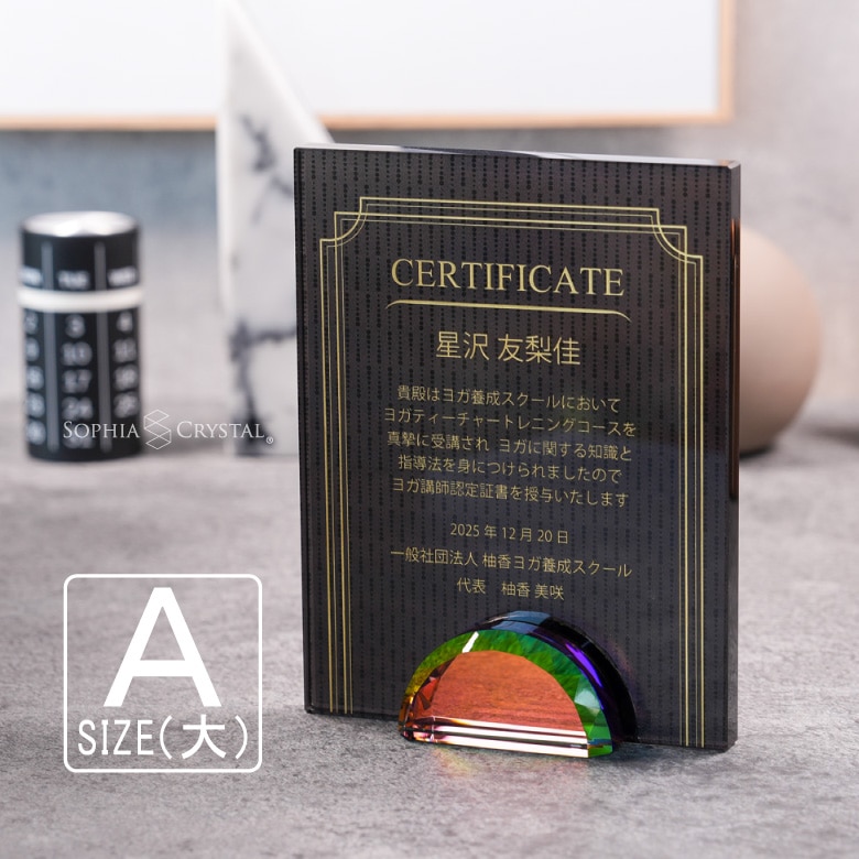 ブラックビューティー 盾 【DPB-15A】